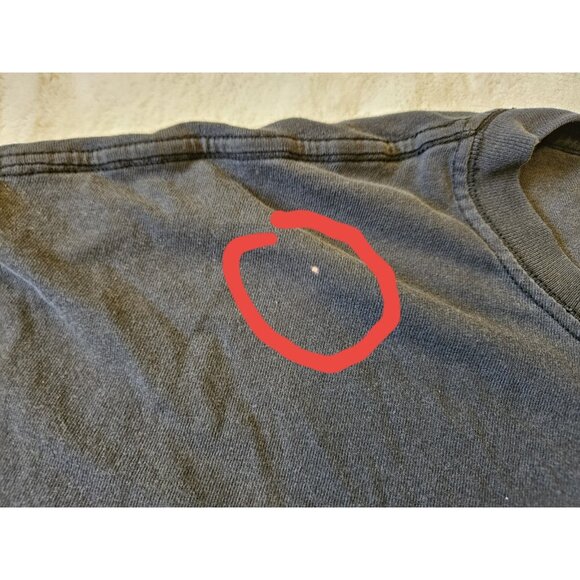 Vintage Shania Twain Shirt Anvil 100% Cotton Size: XL - Picture 3 of 9